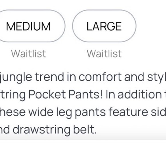 Leopard Print Pants - Picture 4 of 4